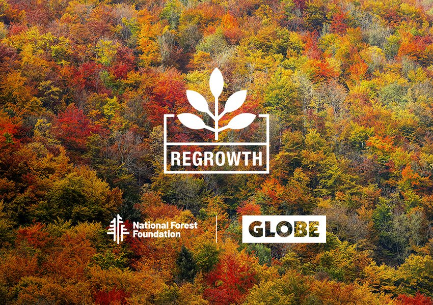 Regrowth